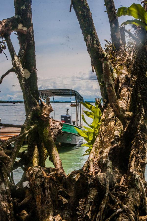 Doña Mara House Bocas del Toro